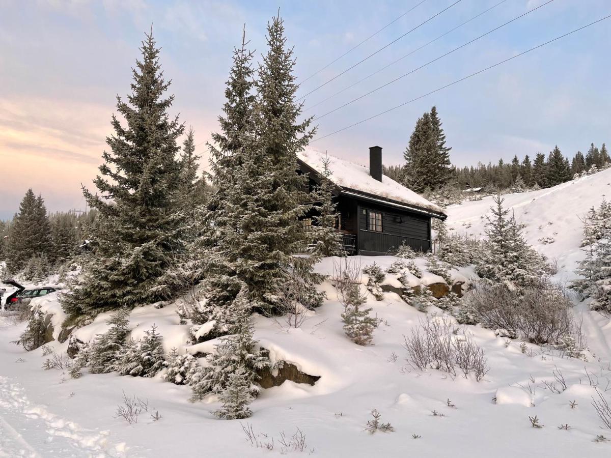 Ski And Bike-In And Out Hafjell Exterior foto